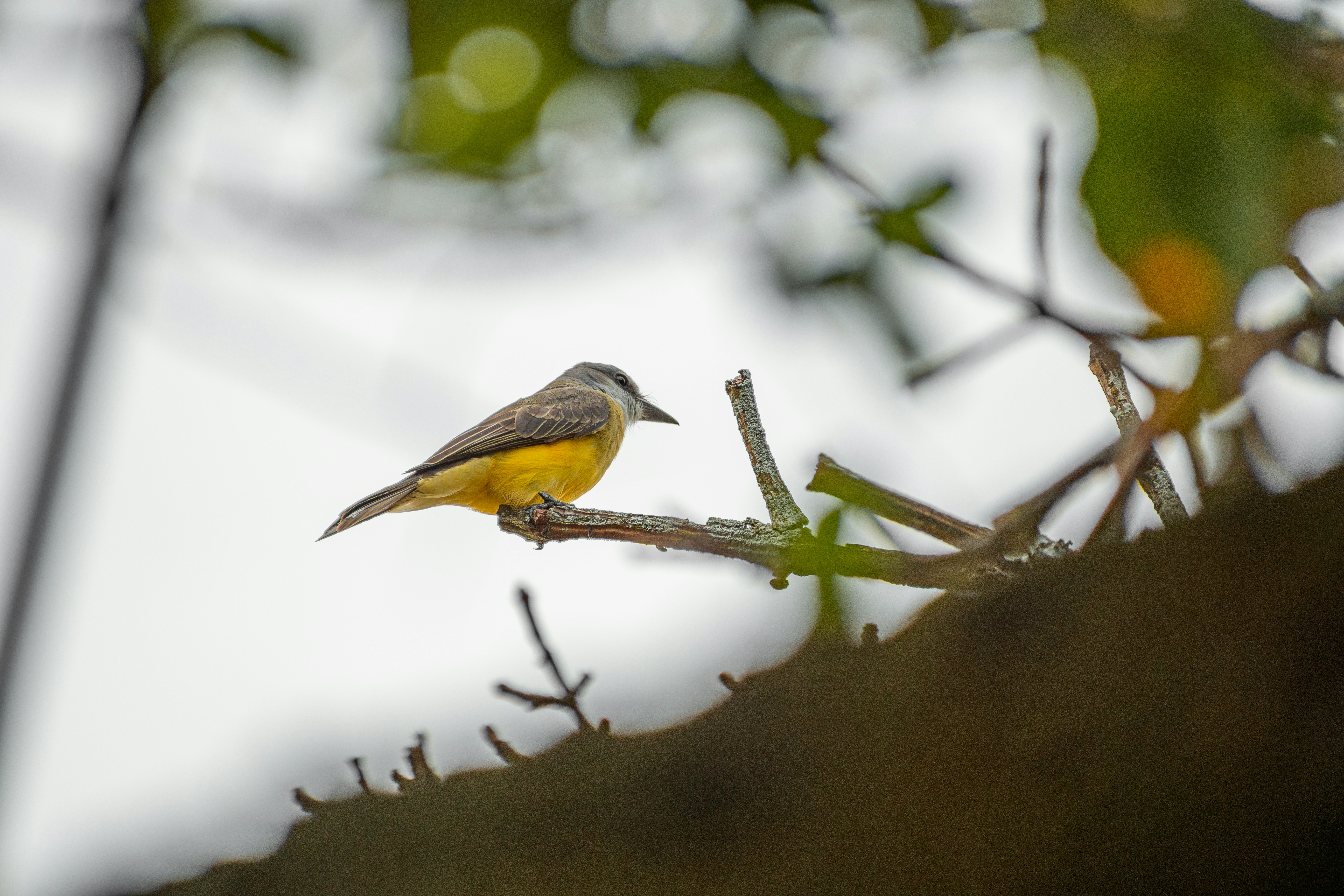 Photo by ardilavisuals