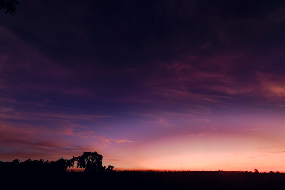 a sunset with a tree in the foreground and a purple sky in the background