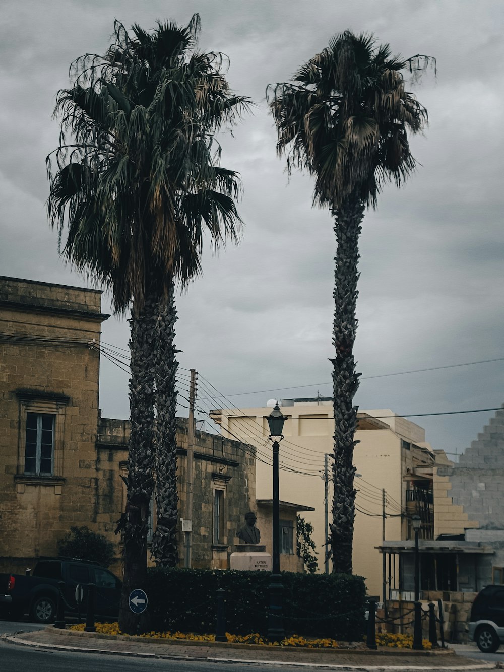 a couple of palm trees sitting on the side of a road