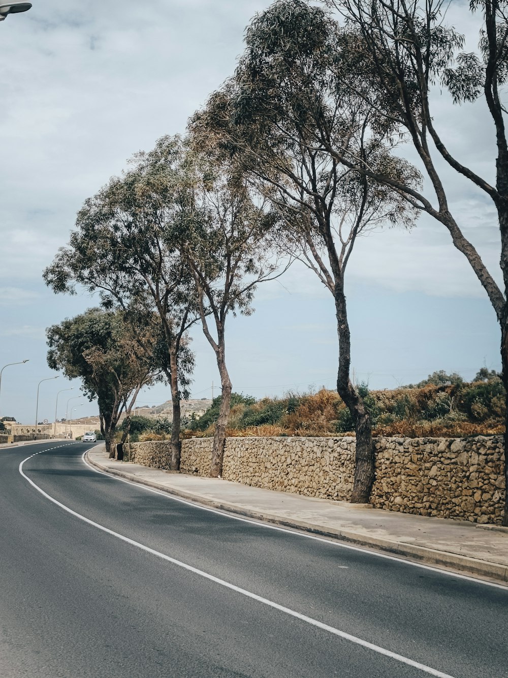 a street lined with trees next to a stone wall