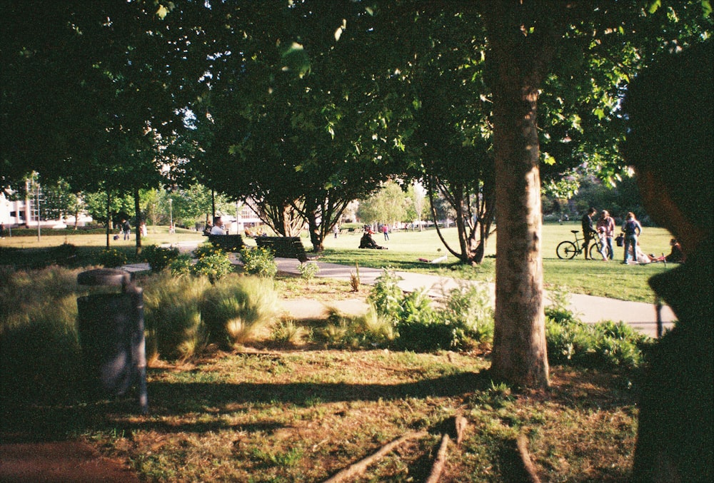 um grupo de pessoas andando ao redor de um parque