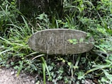 A weathered wooden sign is surrounded by lush green plants and foliage. The sign has the number 12 and the word 'COMPASSIO' carved into it, and some leaves are growing over parts of the sign. The environment appears to be a garden or forest area with dense vegetation.