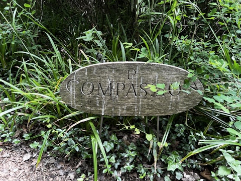 A weathered wooden sign is surrounded by lush green plants and foliage. The sign has the number 12 and the word 'COMPASSIO' carved into it, and some leaves are growing over parts of the sign. The environment appears to be a garden or forest area with dense vegetation.