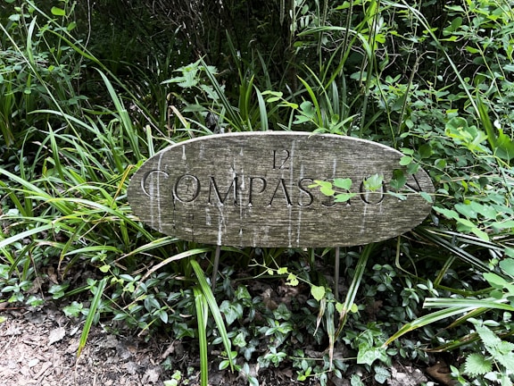 A weathered wooden sign is surrounded by lush green plants and foliage. The sign has the number 12 and the word 'COMPASSIO' carved into it, and some leaves are growing over parts of the sign. The environment appears to be a garden or forest area with dense vegetation.