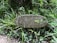 A weathered wooden sign is surrounded by lush green plants and foliage. The sign has the number 12 and the word 'COMPASSIO' carved into it, and some leaves are growing over parts of the sign. The environment appears to be a garden or forest area with dense vegetation.