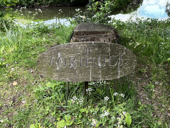 A rustic wooden sign with the word 'FORTITUDE' carved into it is displayed in a lush green garden setting. The sign is mounted on metal stakes and appears in front of a tree stump. The background features various green plants and partially visible water, suggesting a nearby pond or stream.