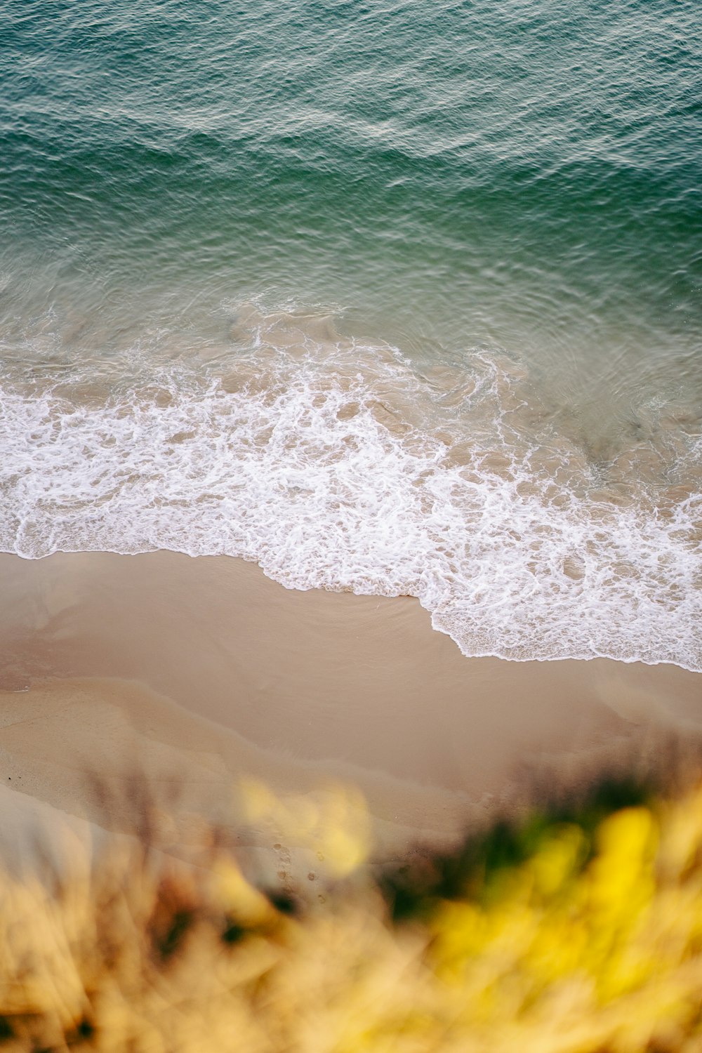 water next to the ocean