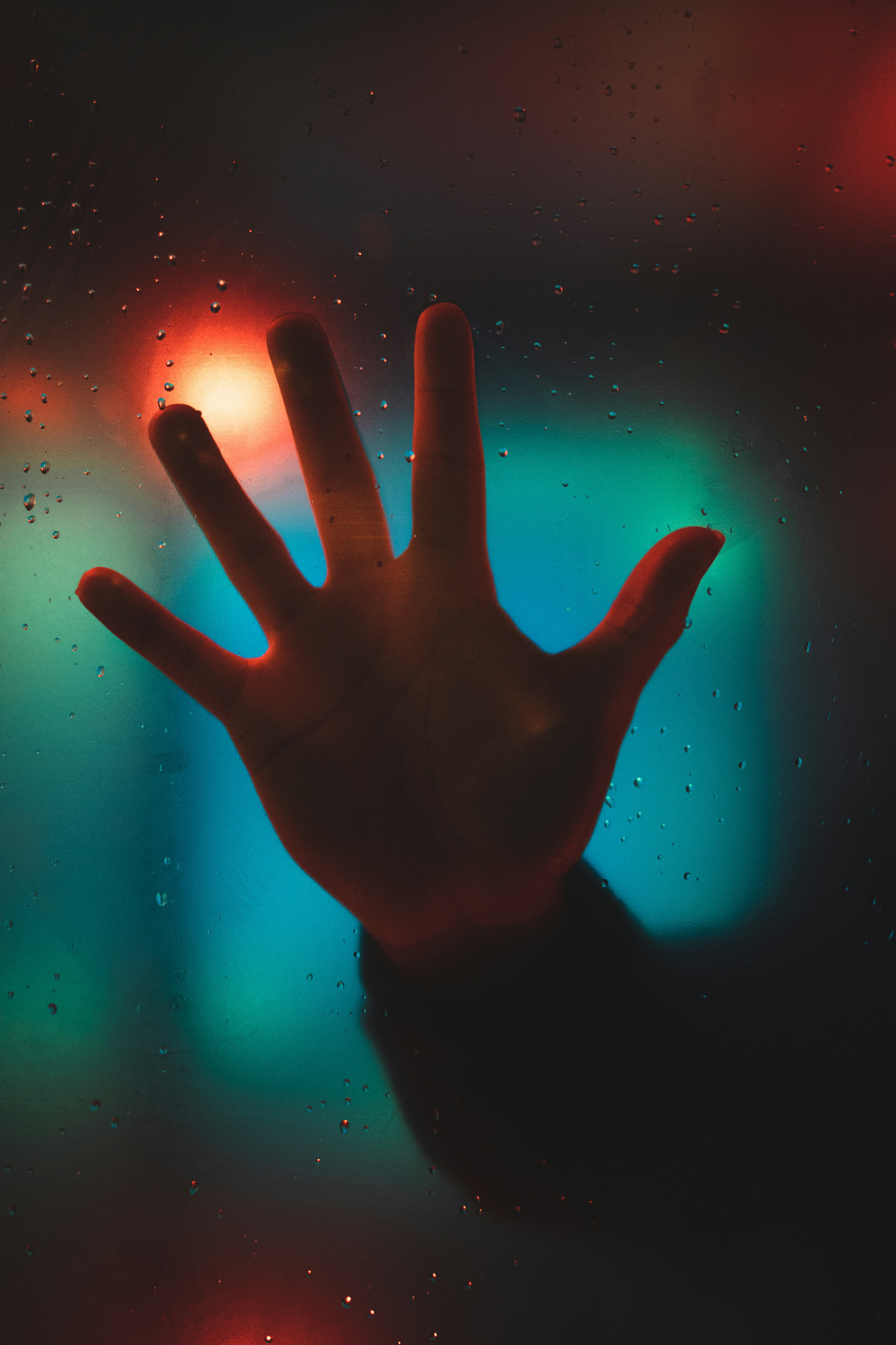 Photo by willianjusten