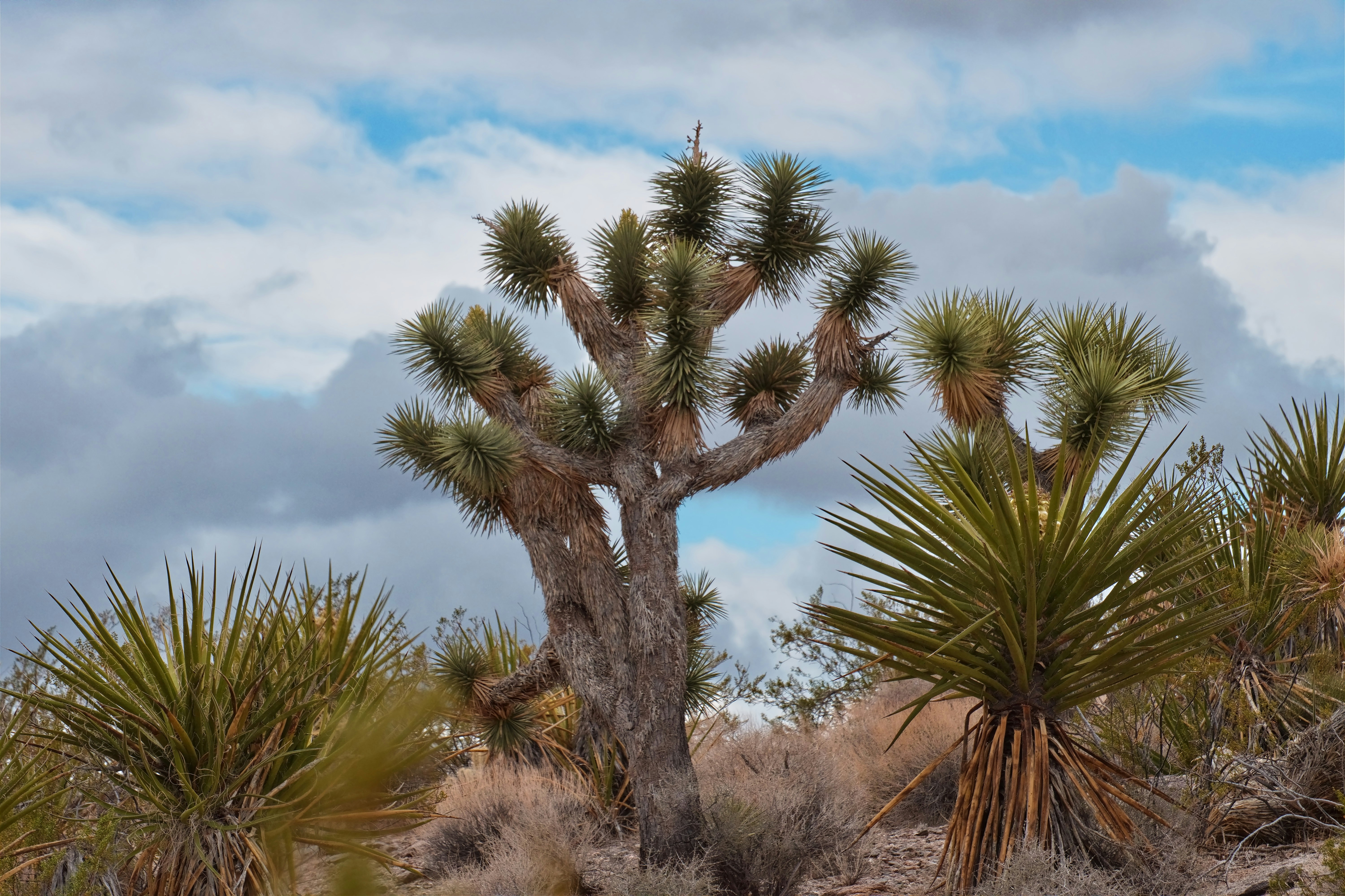 Photo by michael_yantis