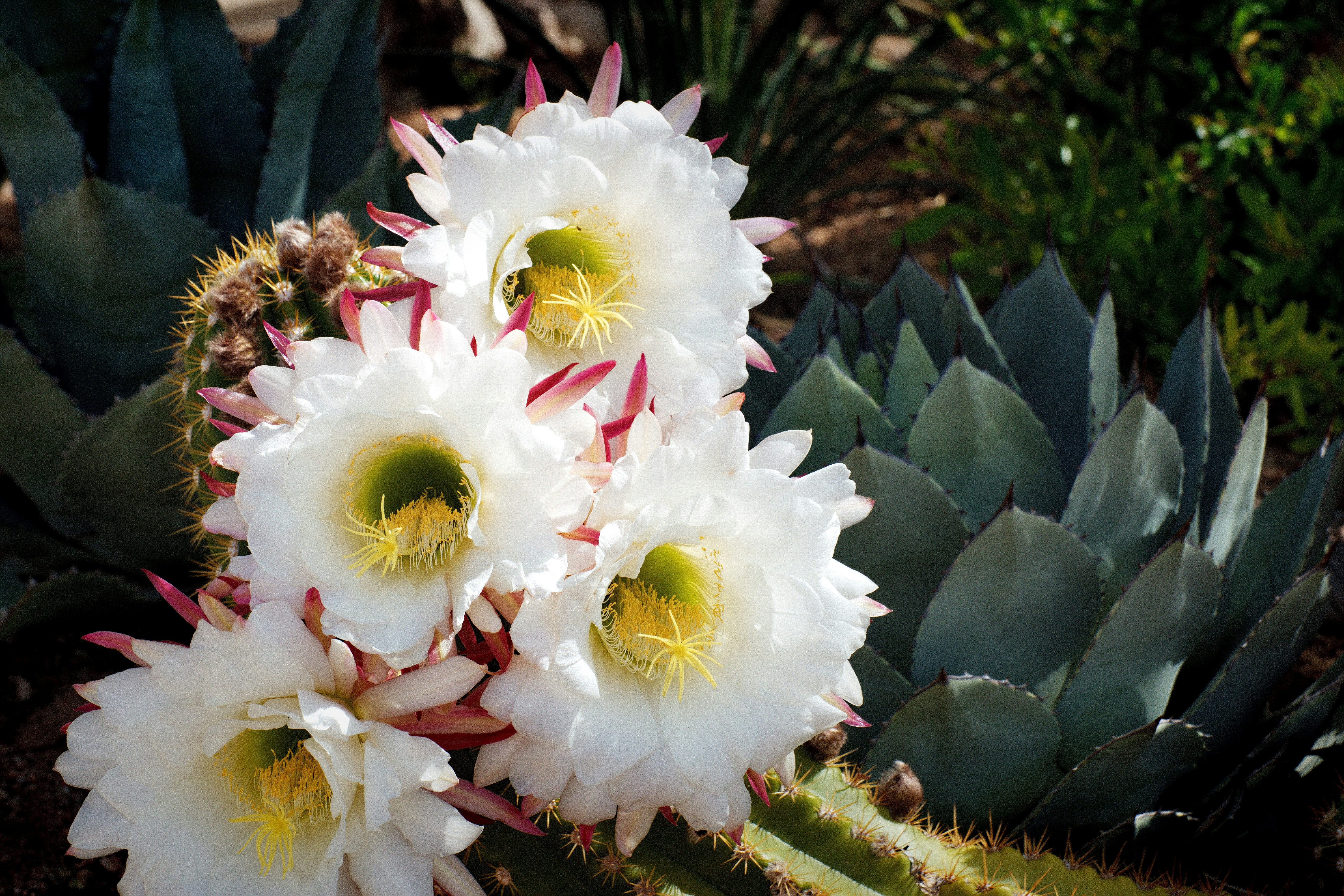 Photo by michael_yantis