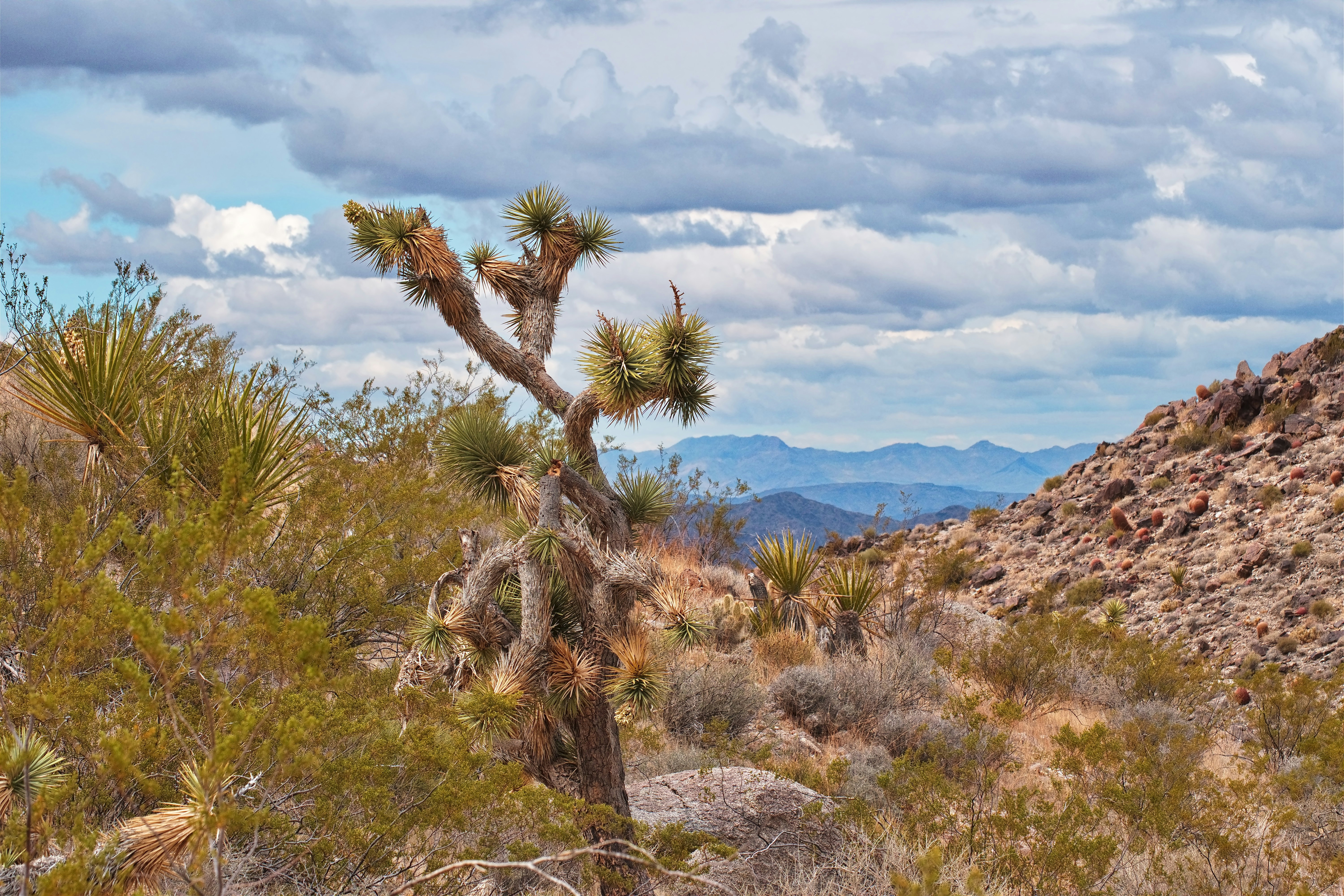 Photo by michael_yantis