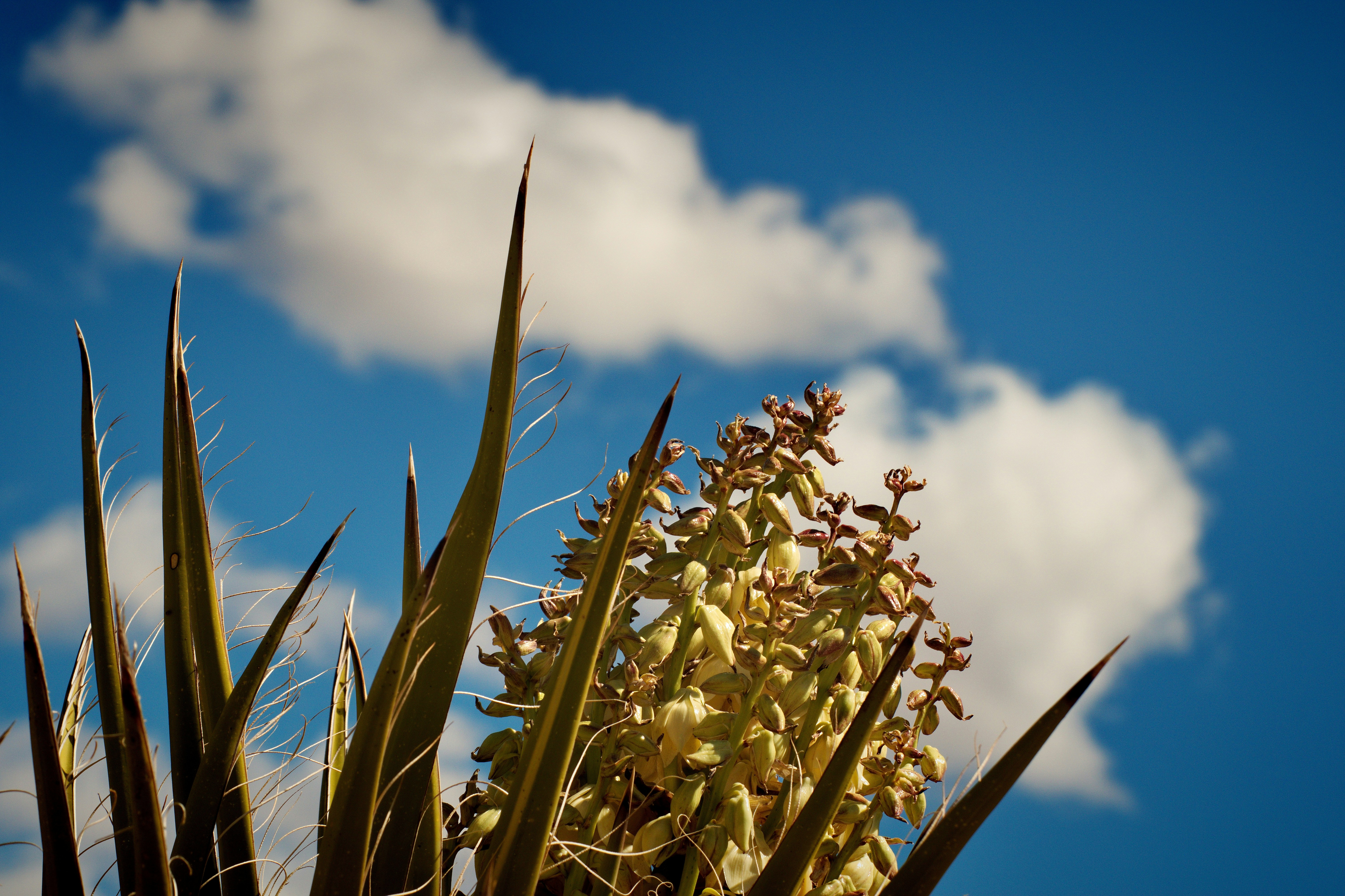 Photo by michael_yantis