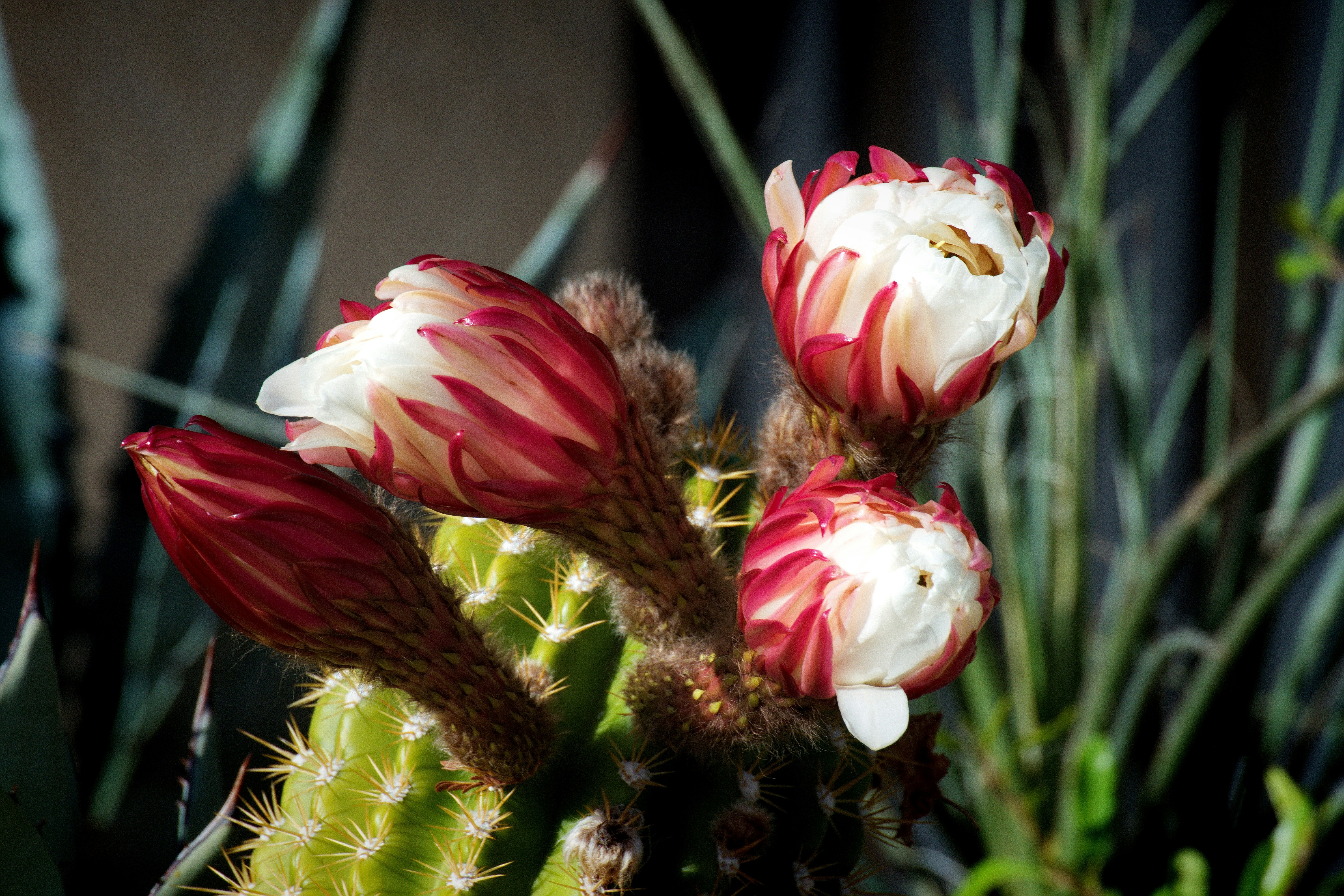 Photo by michael_yantis