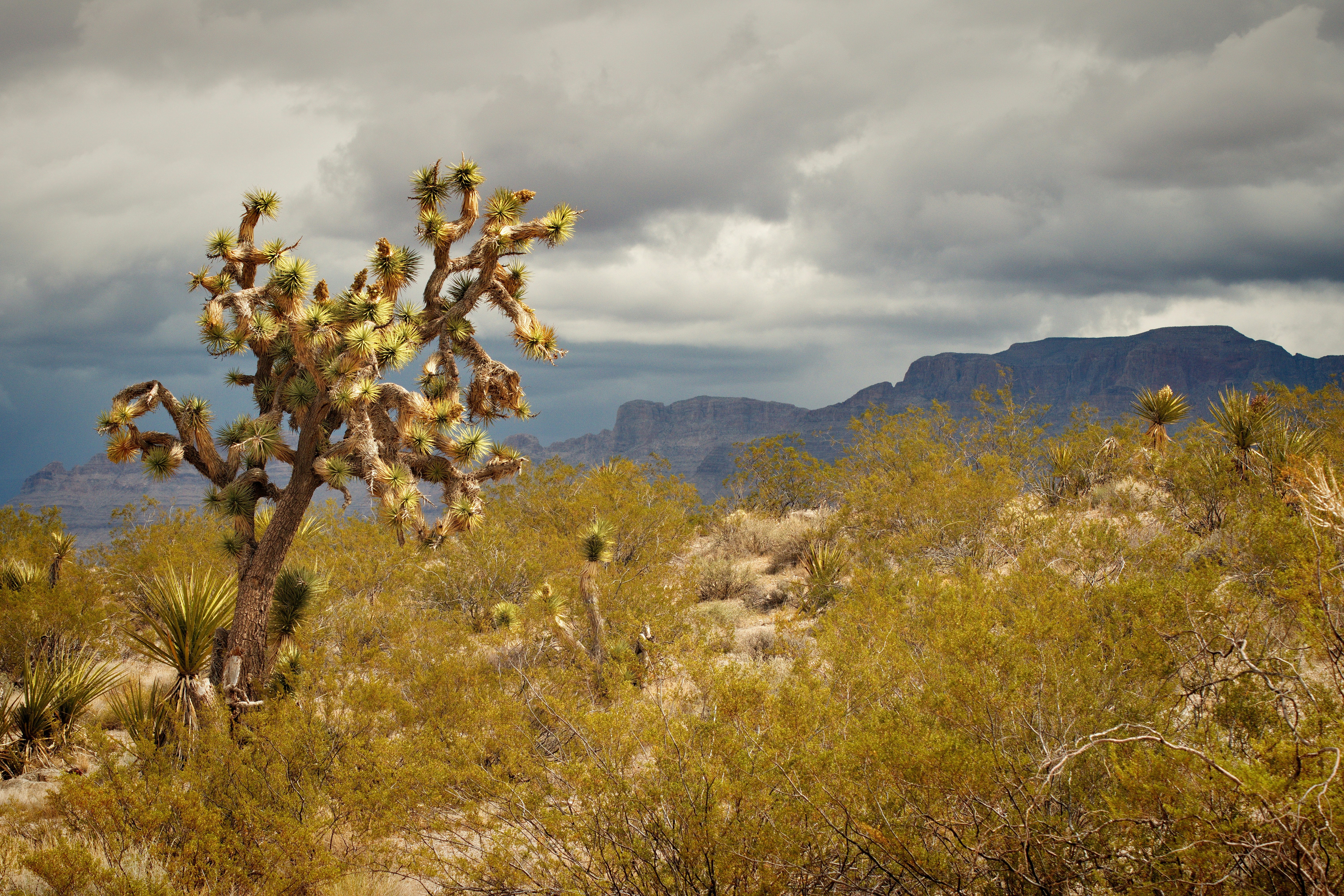 Photo by michael_yantis