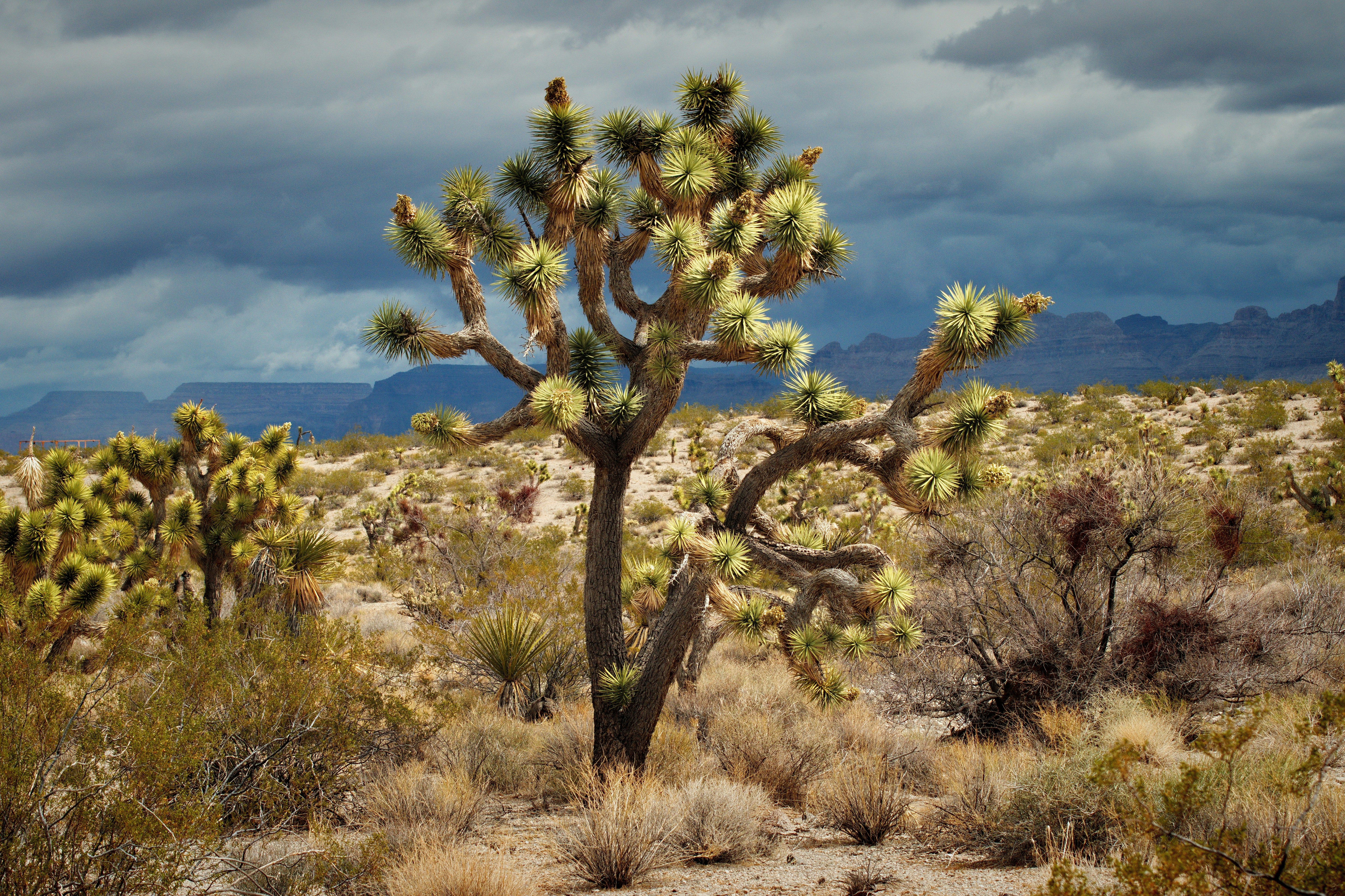 Photo by michael_yantis