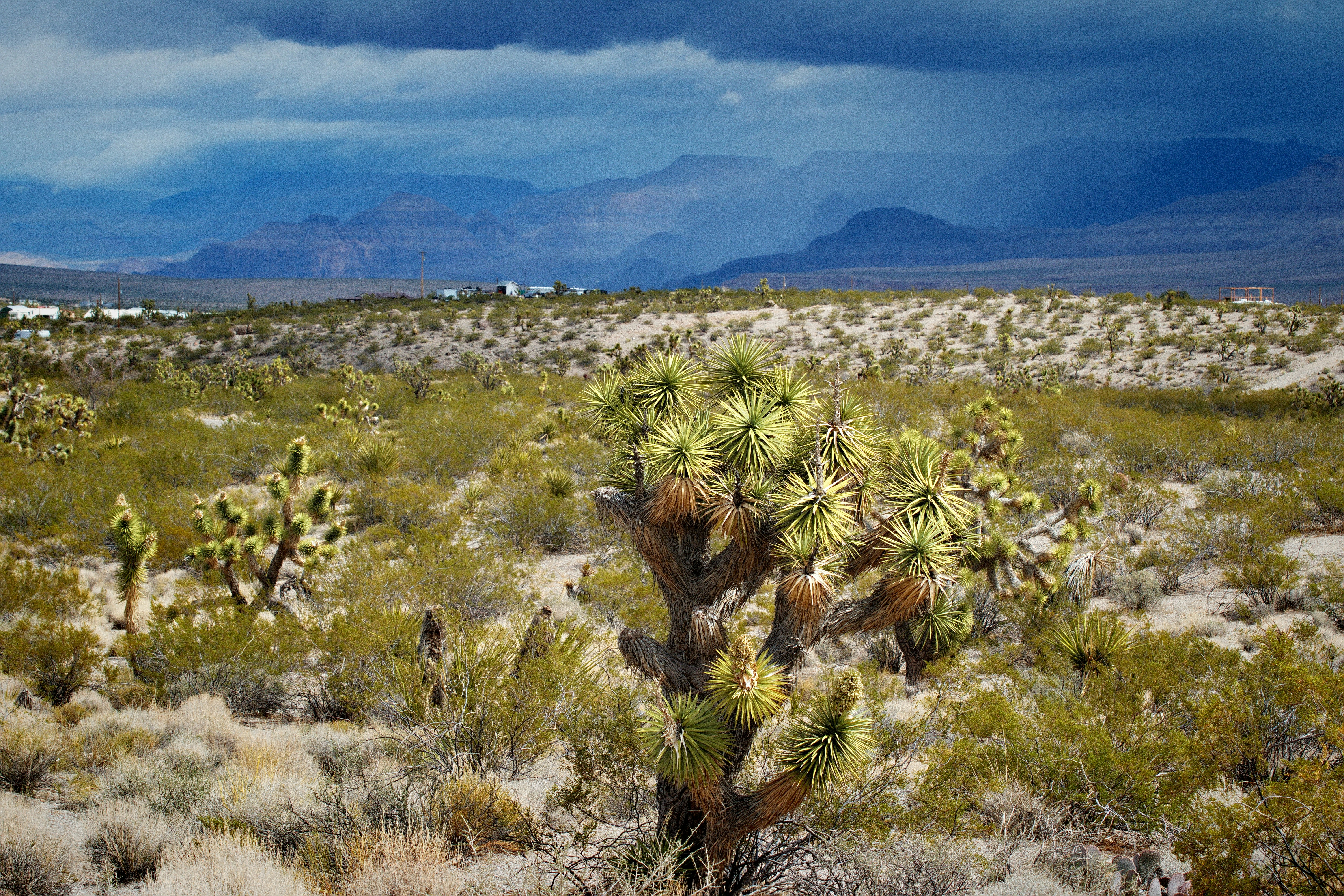 Photo by michael_yantis