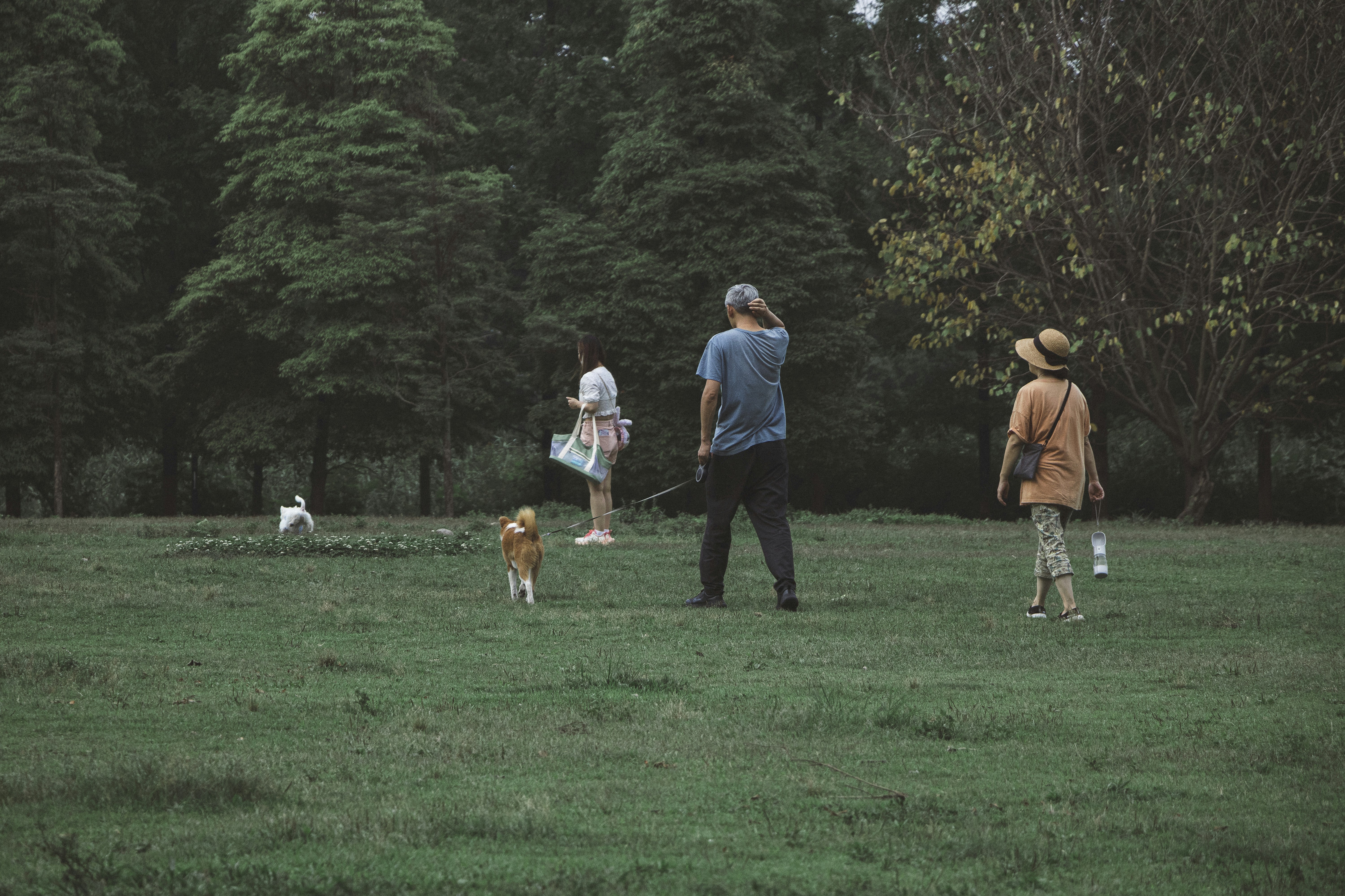 Family interacting with a protection-trained dog
