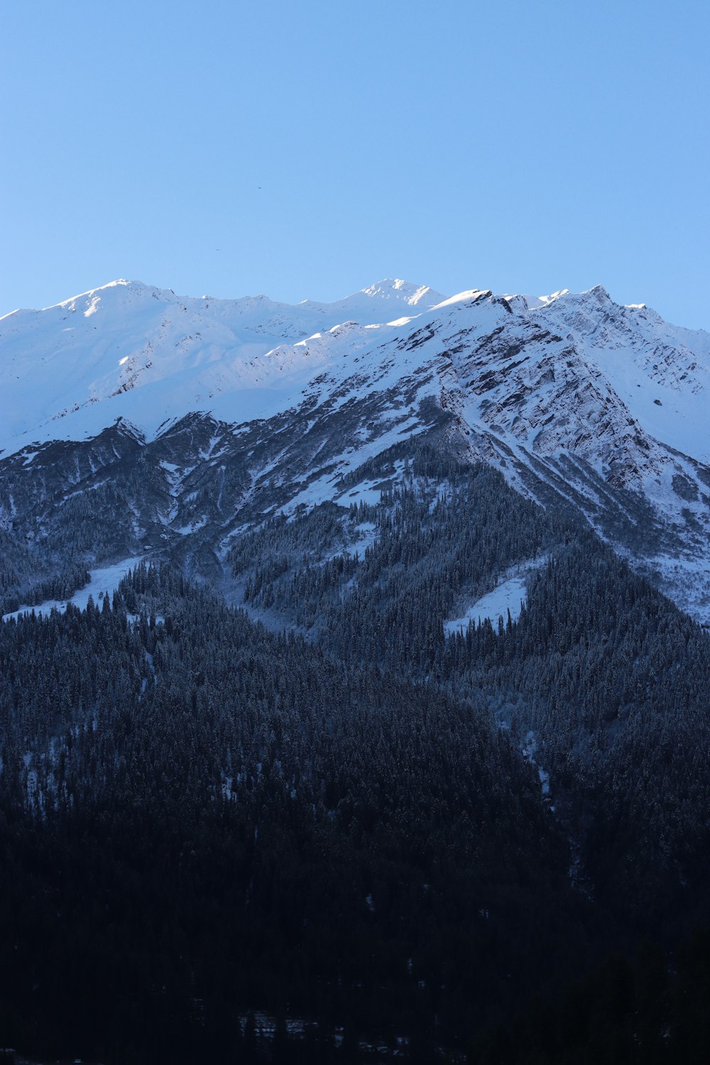 a mountain covered in snow and trees under a blue sky