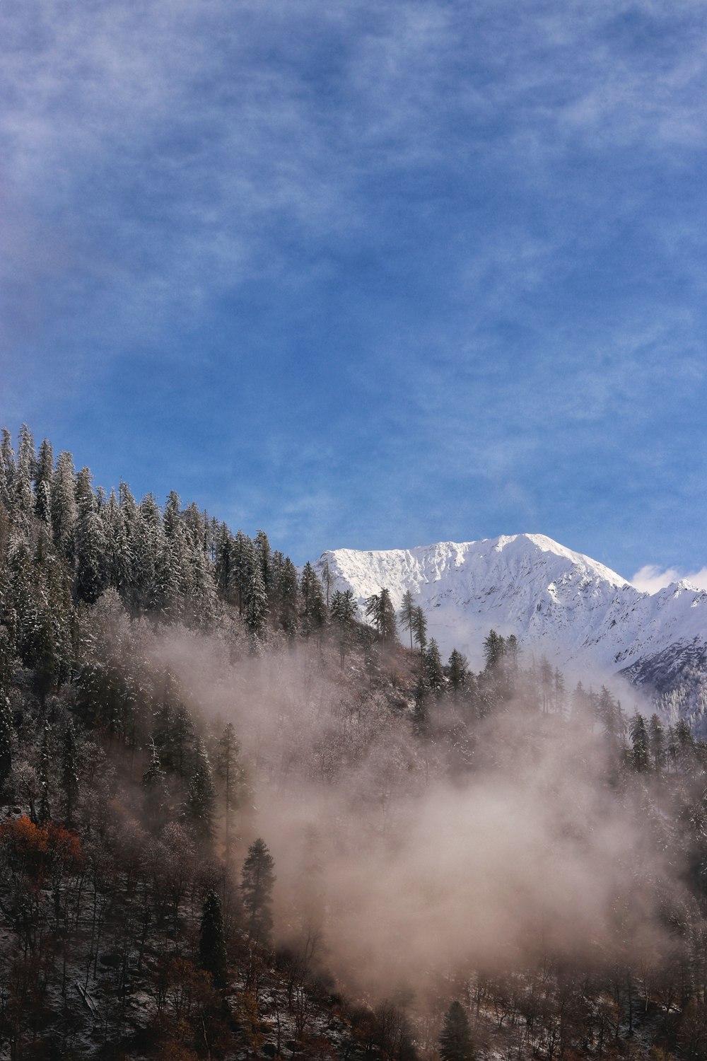 a mountain covered in fog and snow with trees in the foreground