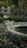 A serene garden featuring a statue of a resting fairy by the edge of a pond. The garden is lush with various colorful flowers including roses, pansies, and other assorted plants, with greenery surrounding the area. A large decorative urn filled with flowers and foliage adds to the tranquil atmosphere.