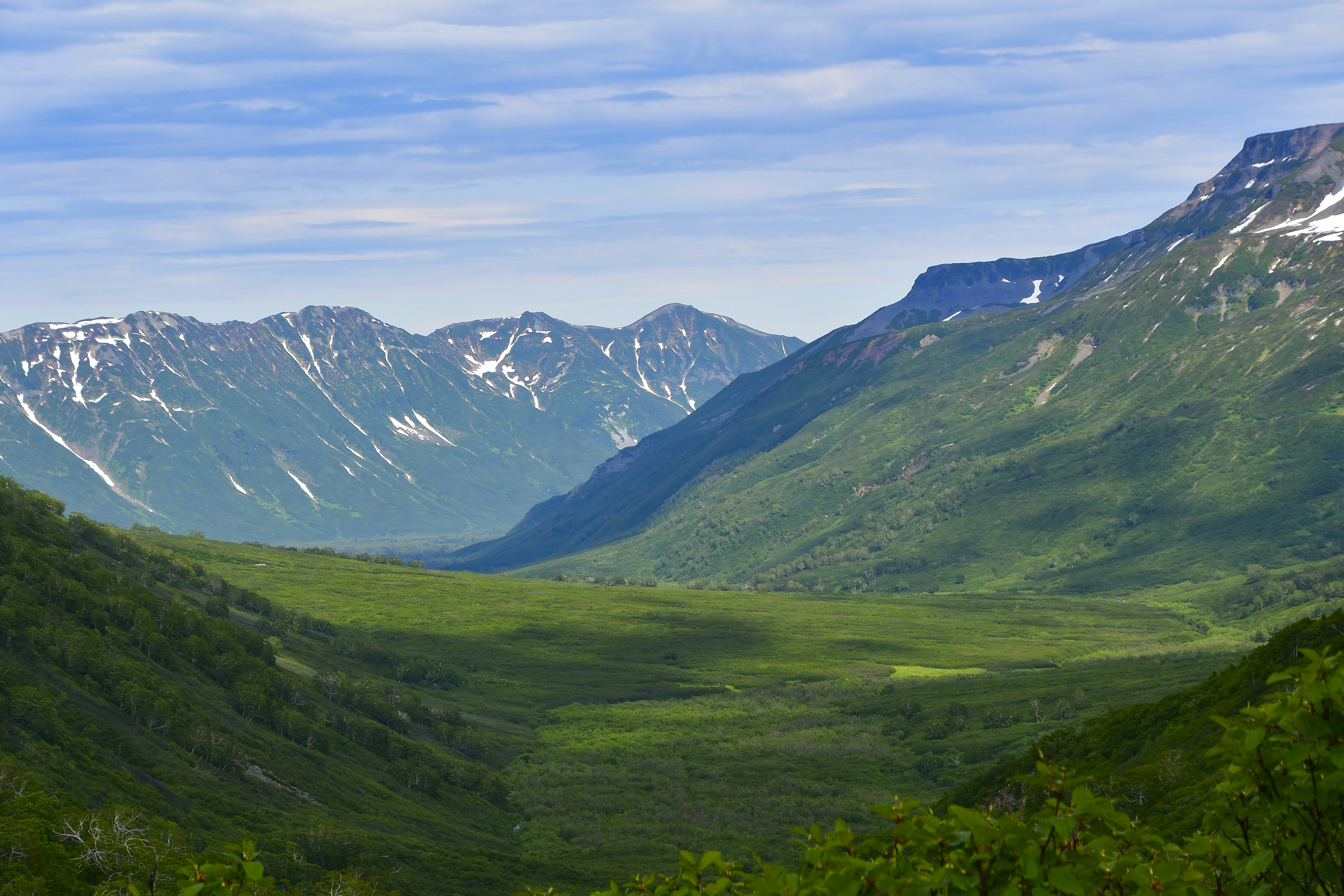 Thought Leaders in Acceptance and Commitment Therapy (ACT)