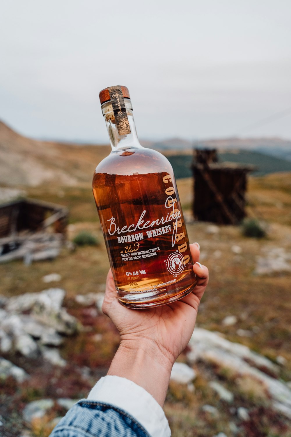 a person holding a bottle of whiskey in their hand