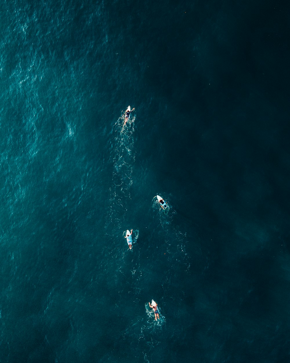 a group of people riding paddle boards on top of a body of water