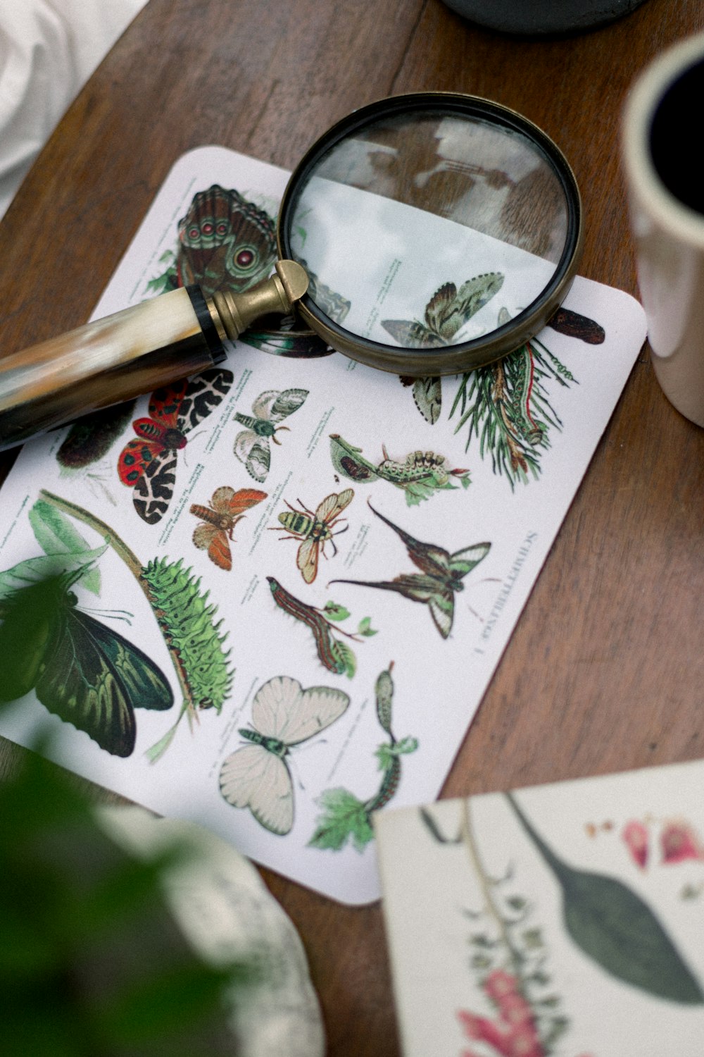 a close up of a magnifying glass on a table