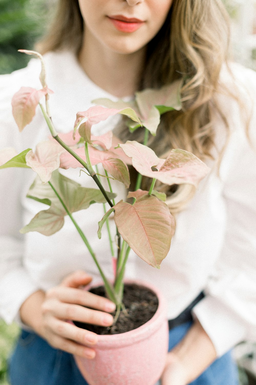 a woman holding a potted plant in her hands