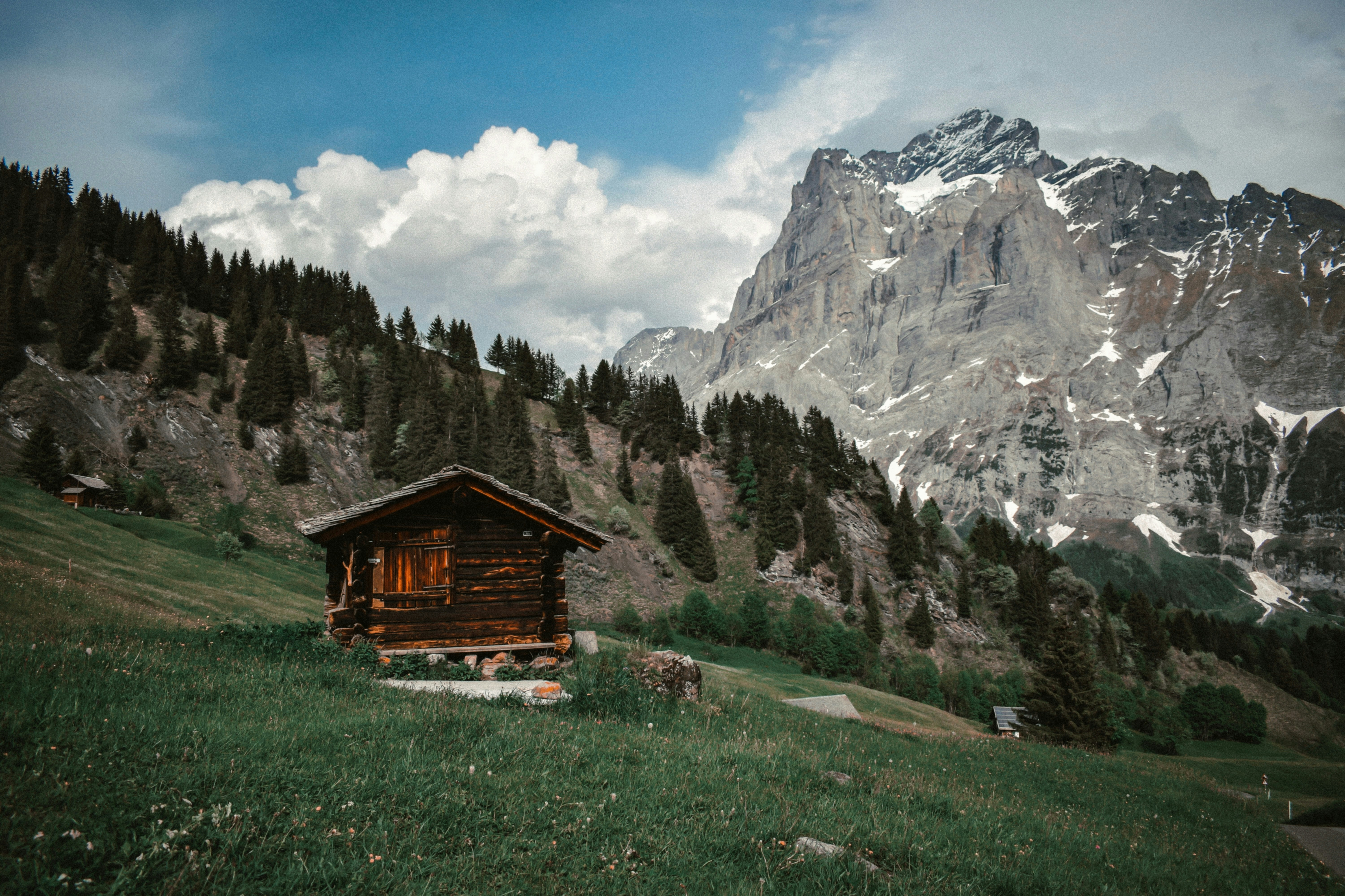 Photo by annaacurcan