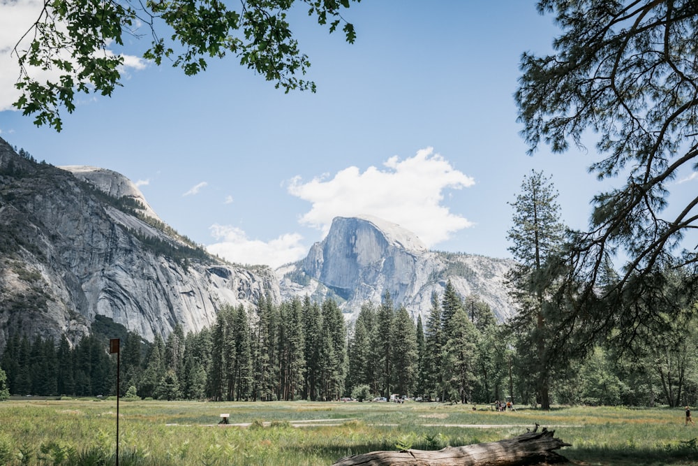 a view of a valley with a mountain in the background