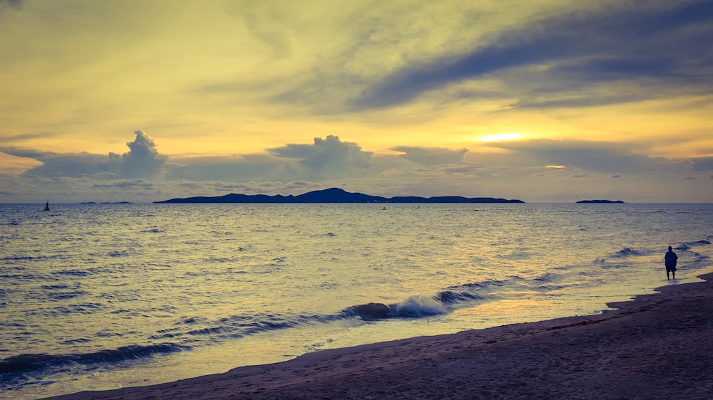 a person standing on a beach next to the ocean