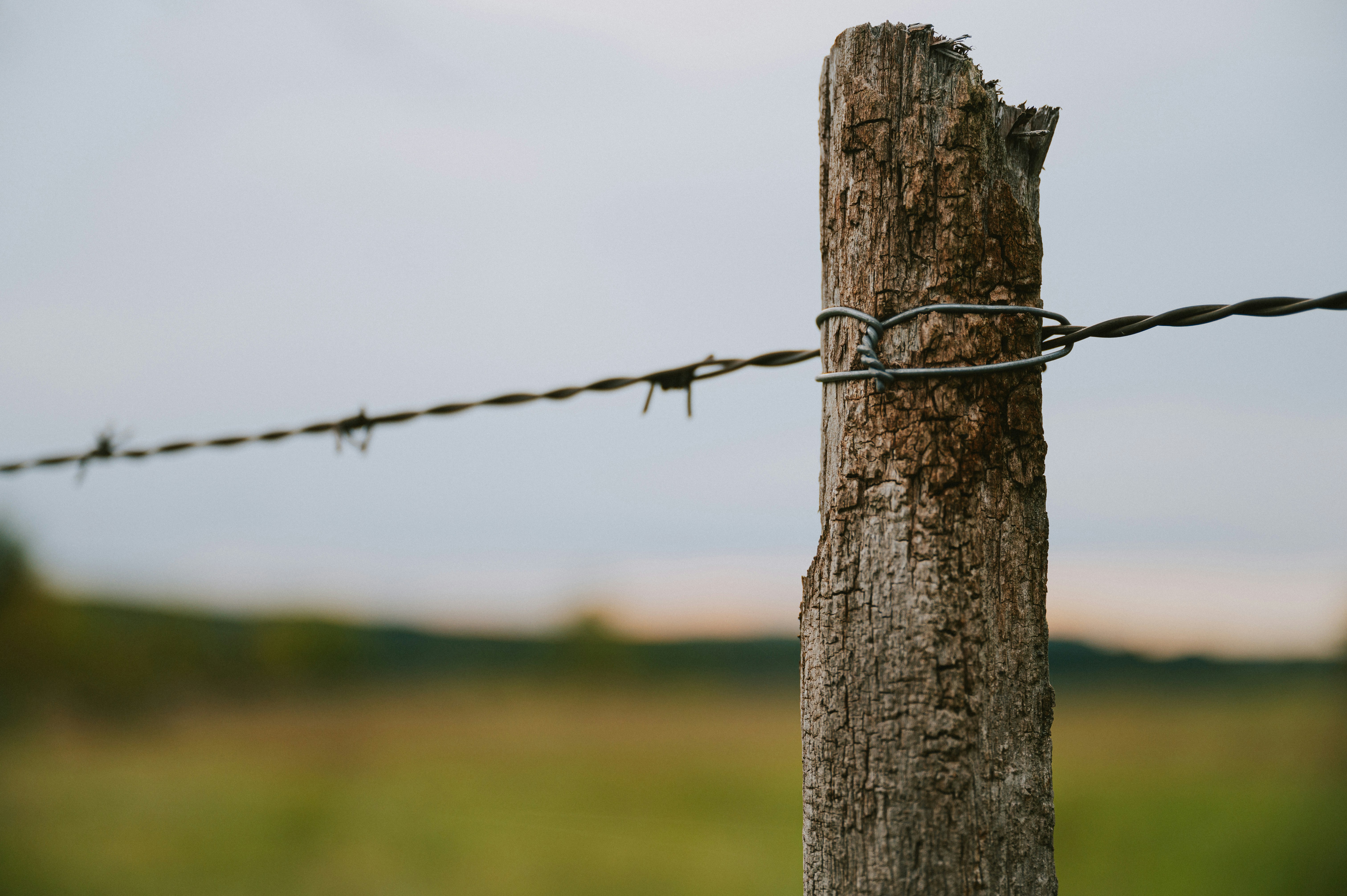 Alambre de púas gris foto – Imagen de Cabello gratuita en Unsplash, image size:3000x1996
