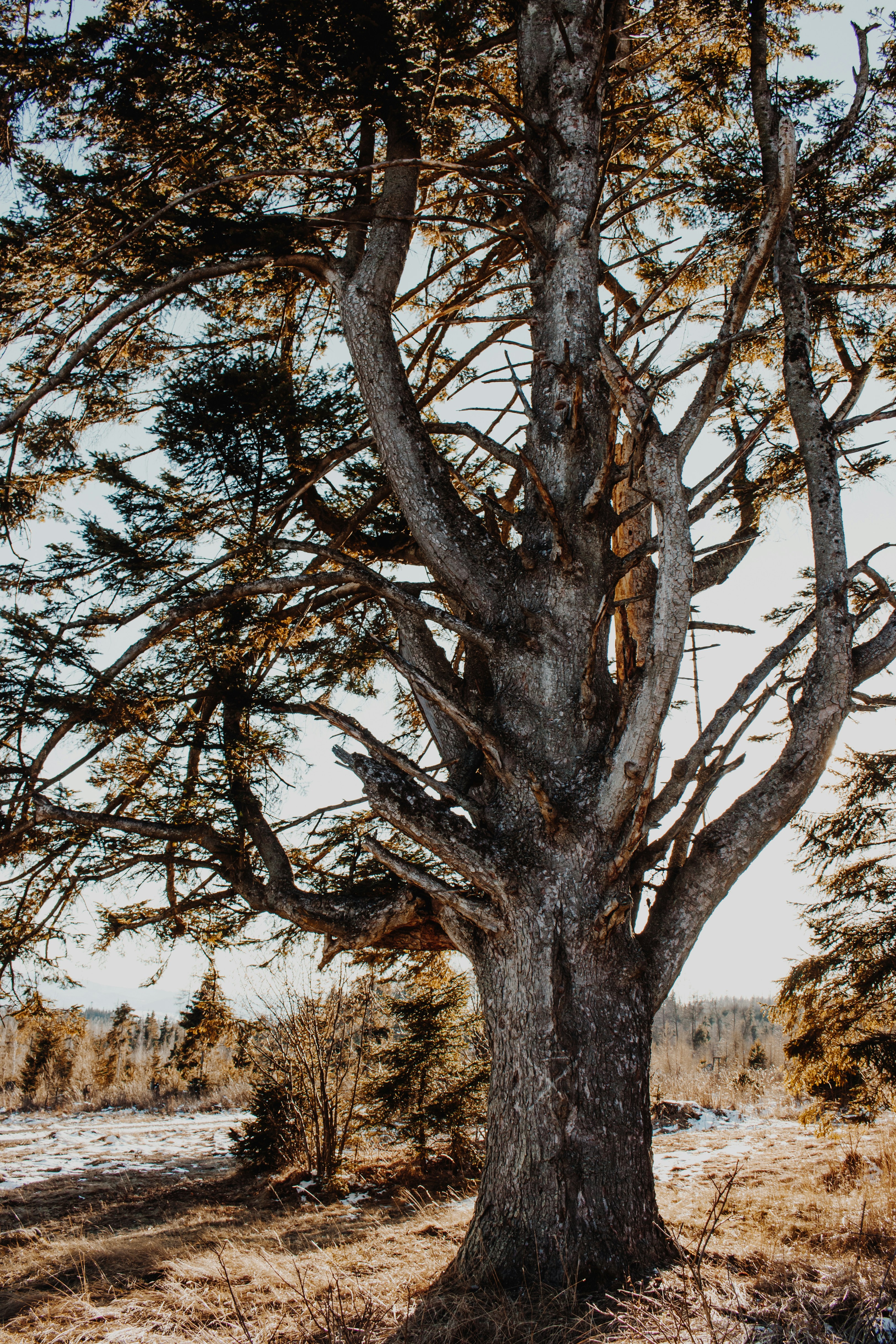 Photo by daniel_toth