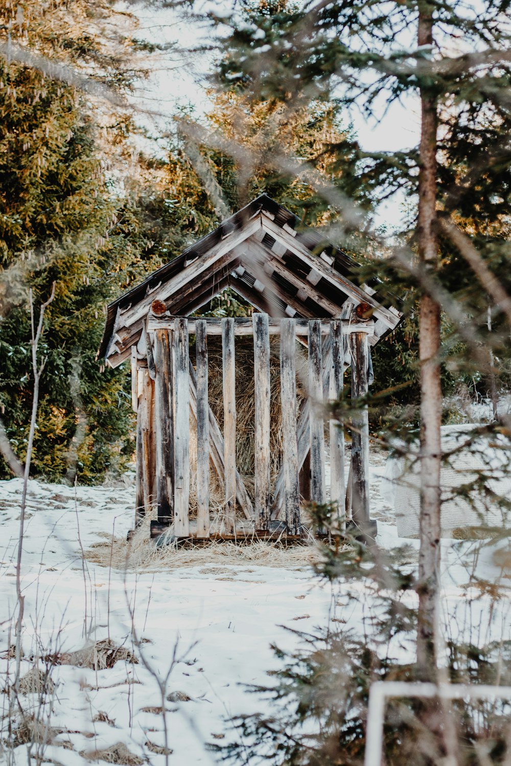 an outhouse in the middle of a snowy forest