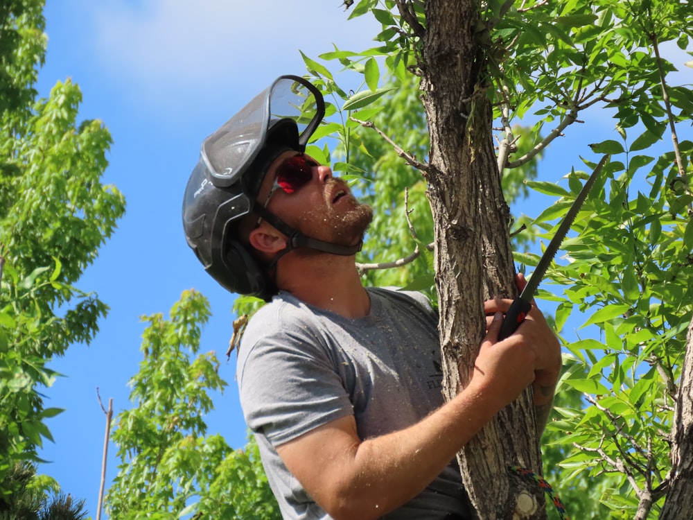 a man wearing a helmet and holding a tree branch