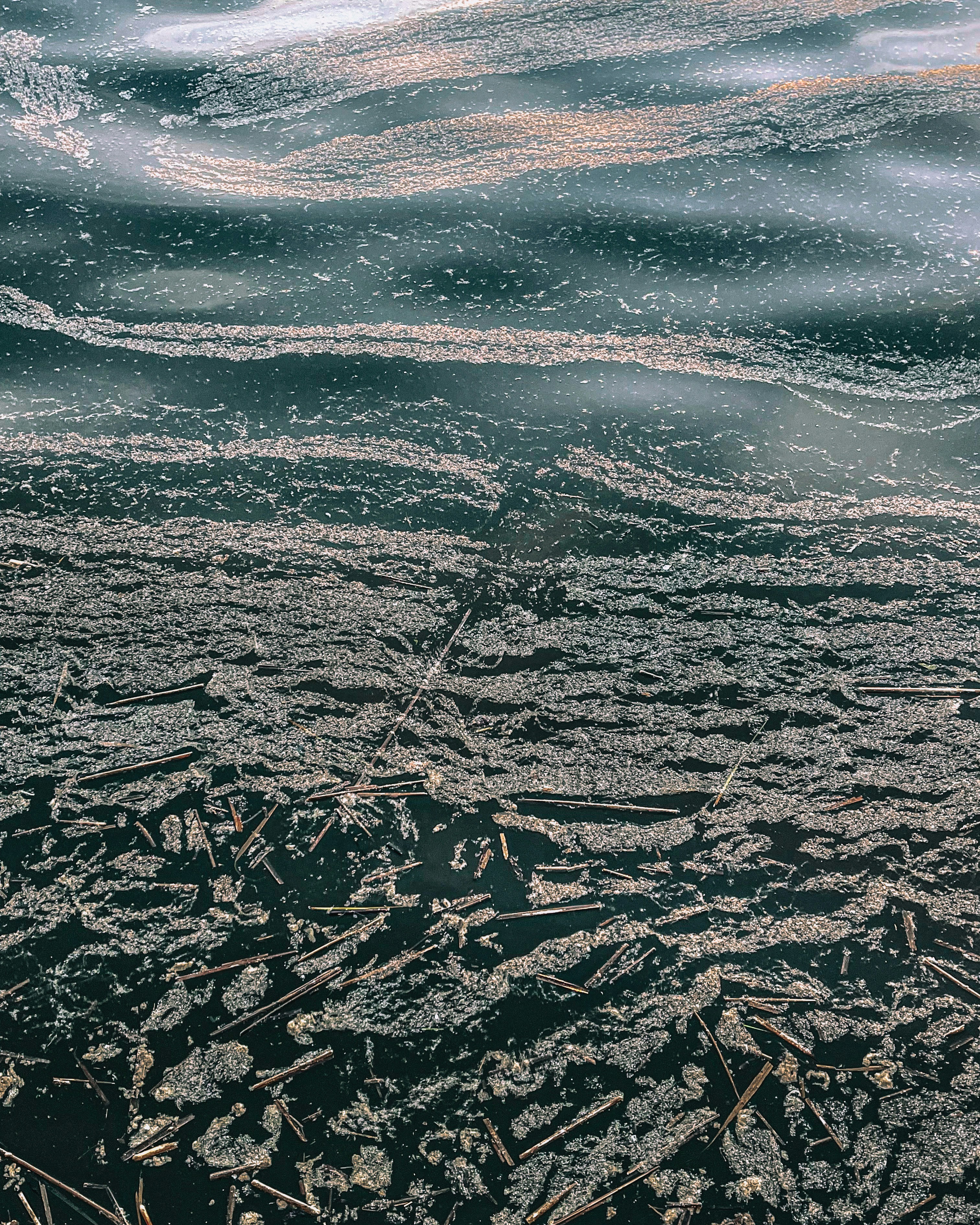 Photo by ullashinami