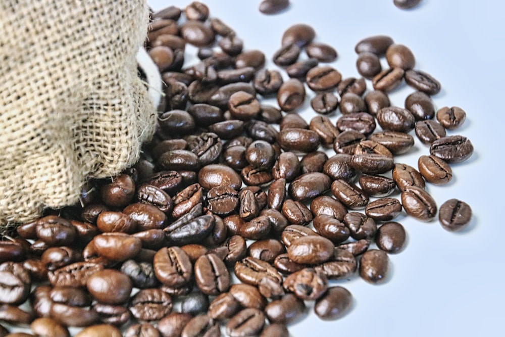 a bag of coffee beans next to a pile of coffee beans