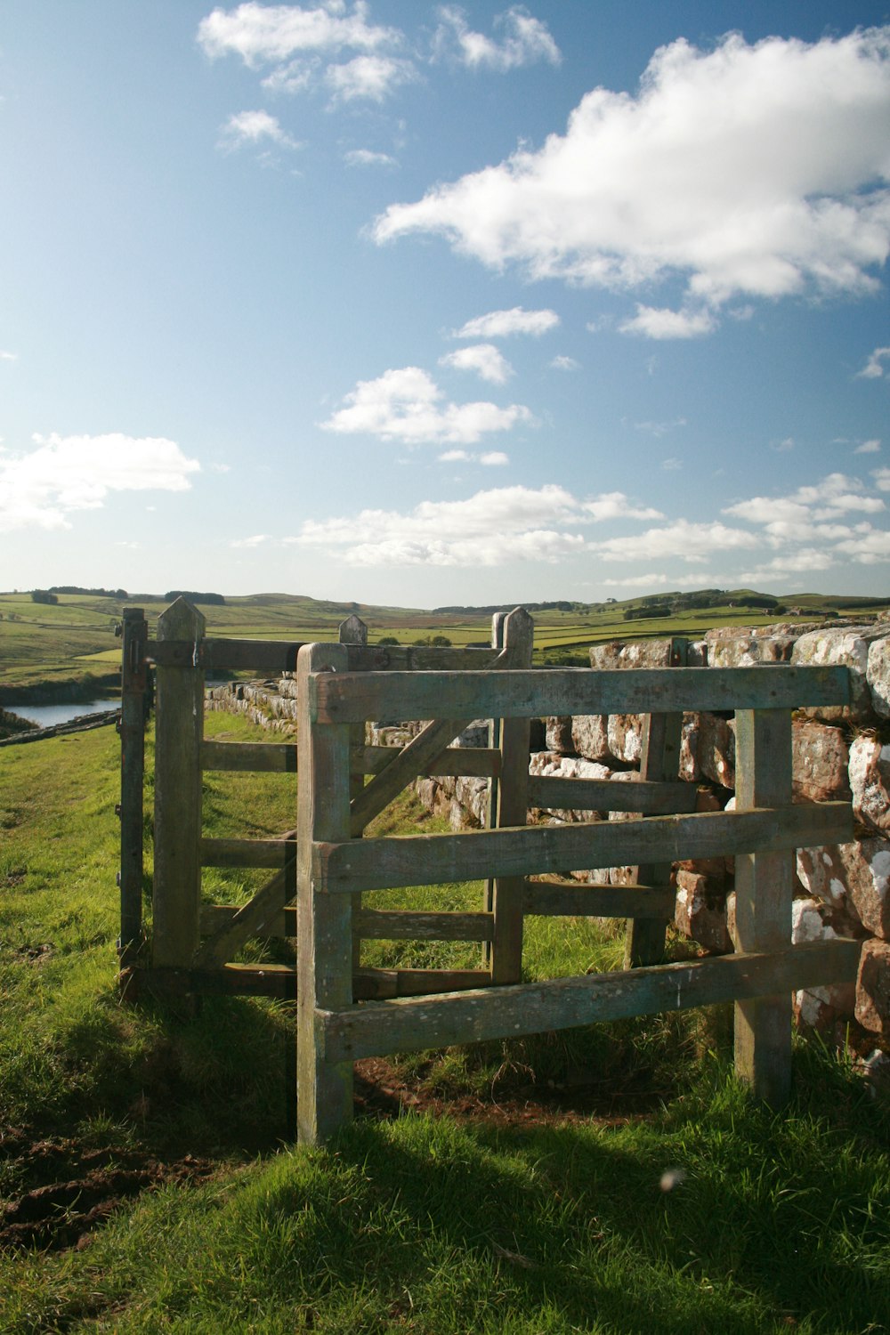a wooden gate in a grassy field with sheep