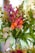 a vase filled with lots of different colored flowers