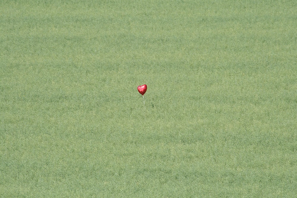 a red balloon floating in the middle of a green field