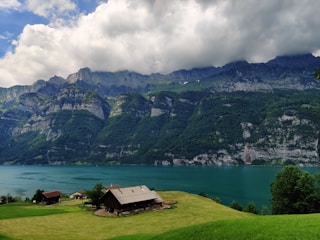 A picturesque view of a tranquil lake surrounded by lush greenery and mountains.