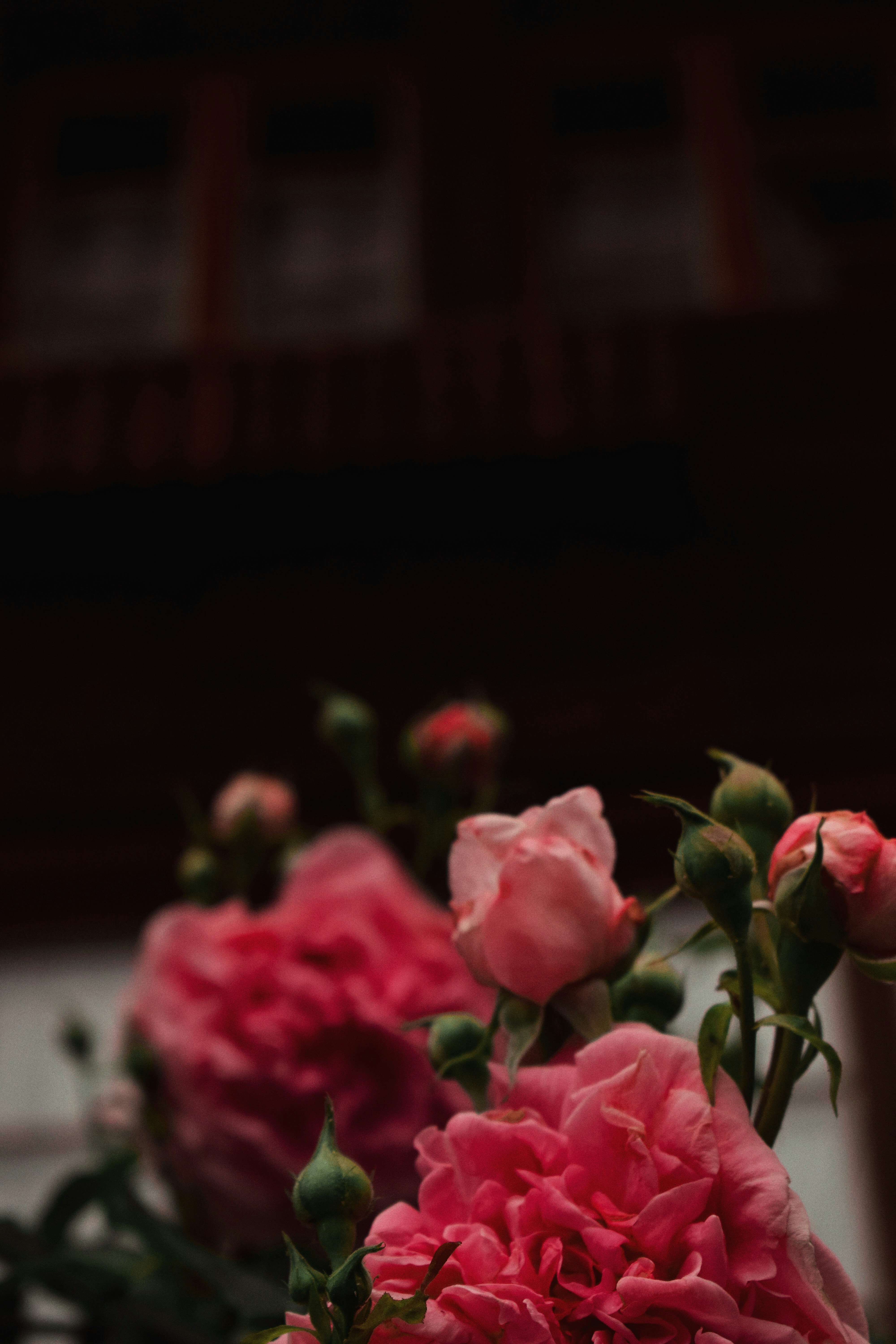 Photo by annaacurcan