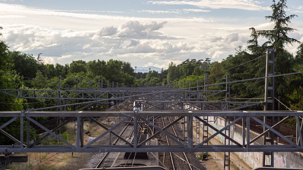 a train traveling down train tracks next to a forest