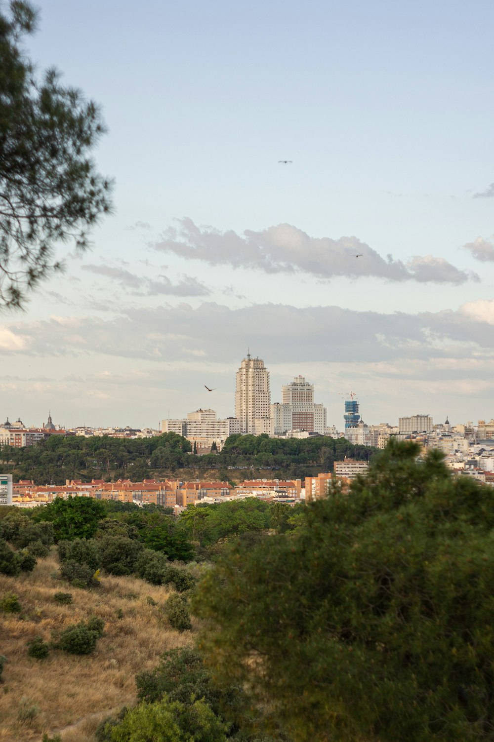 a view of a city from the top of a hill