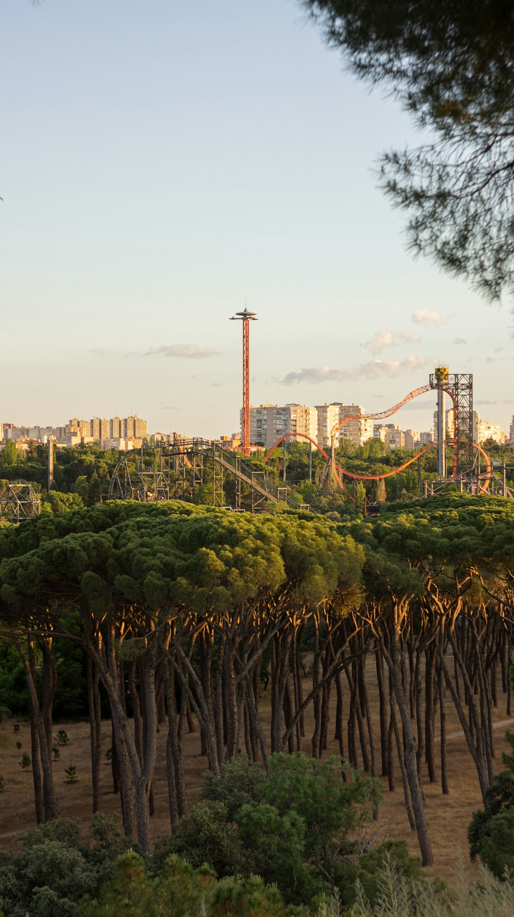 a view of a roller coaster from a distance