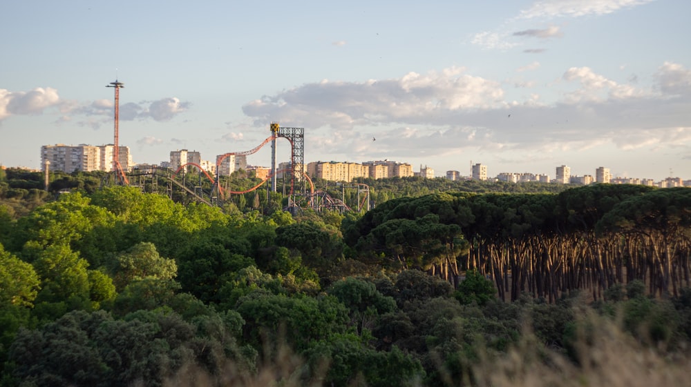 a roller coaster in the middle of a forest