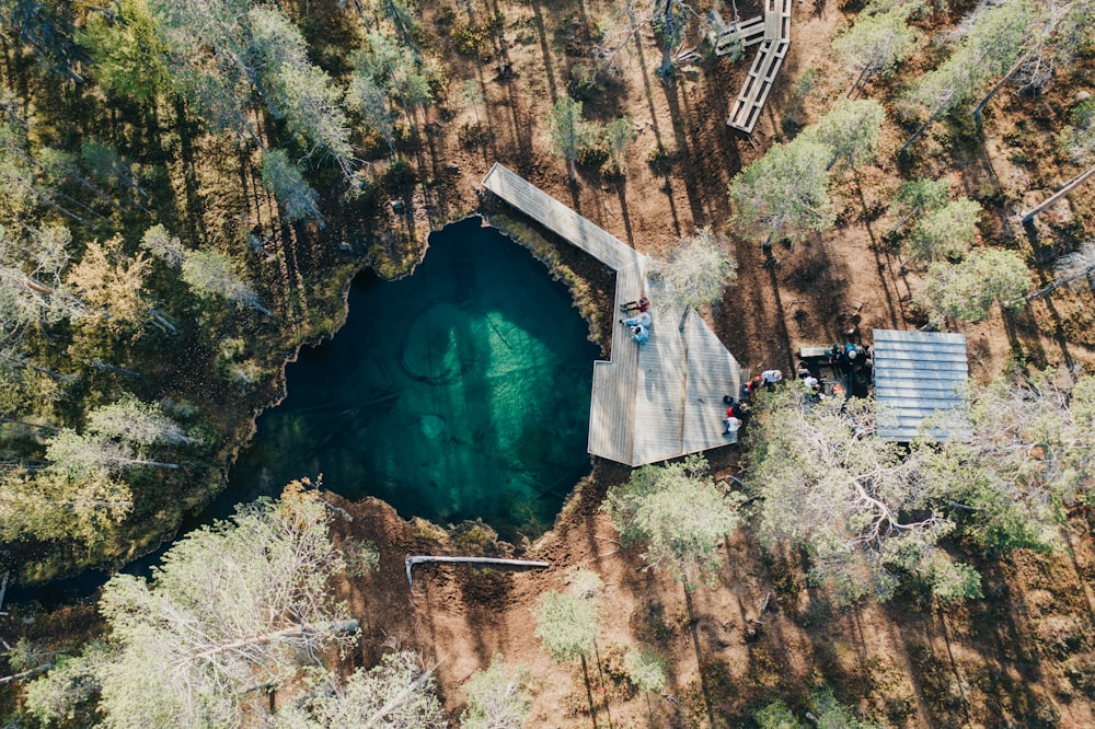 a large body of water surrounded by trees