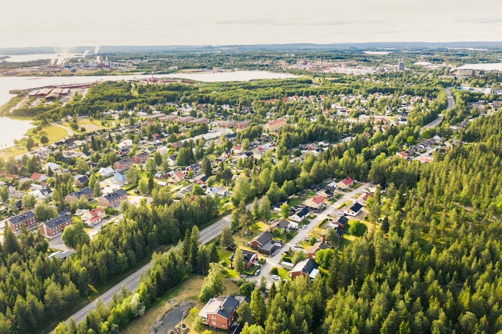 an aerial view of a town surrounded by trees