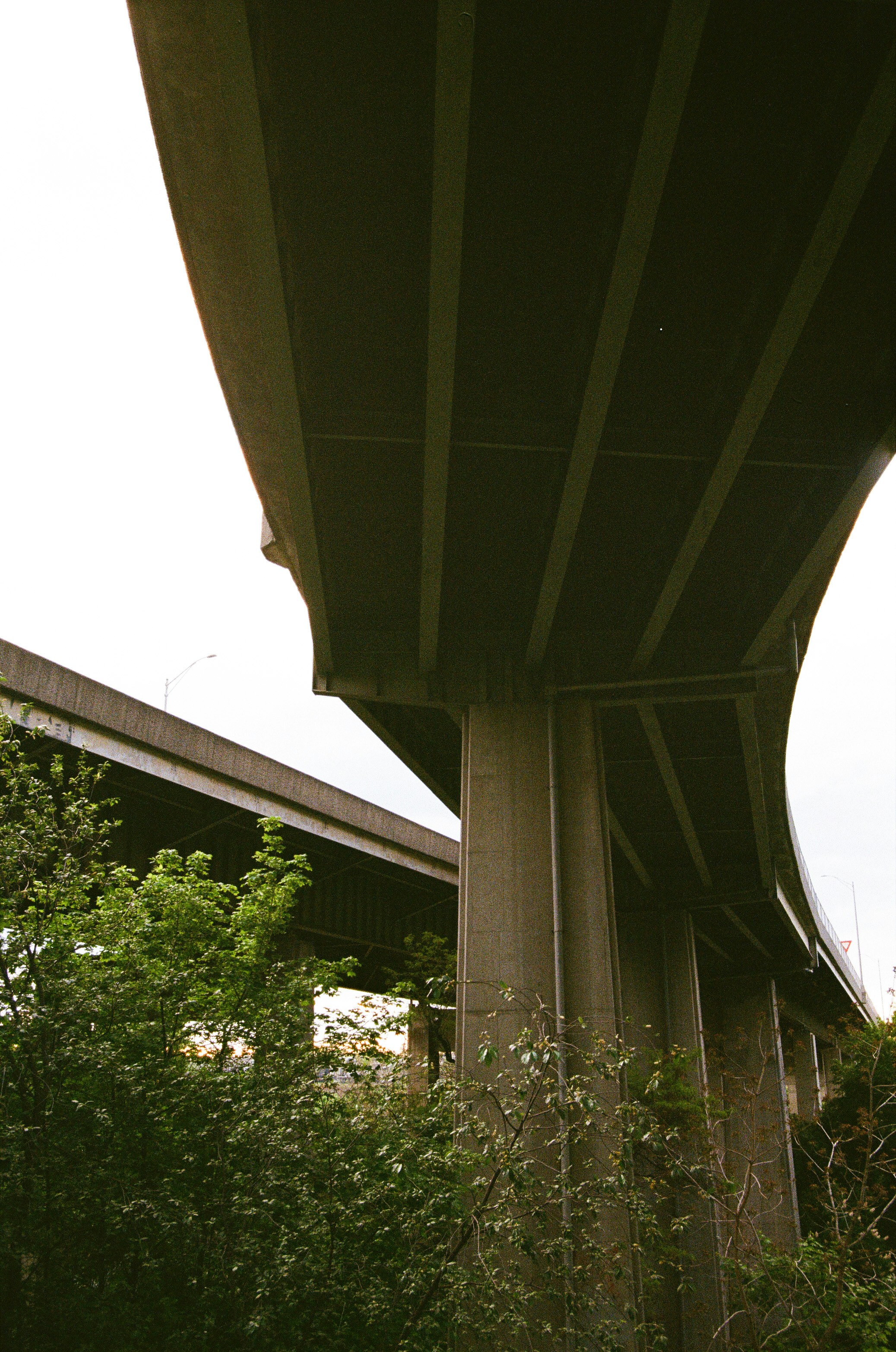 the underside of a bridge with trees and bushes